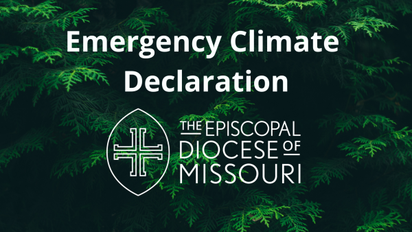Emergency Climate Declaration
